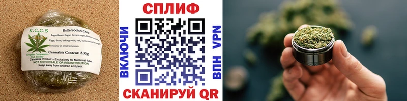 блэк спрут ТОР  магазин продажи   Алейск  Cannafood марихуана 